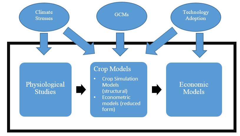 Figure 1: Primary components of the structural approach used in research on climate impacts in agriculture and food systems.